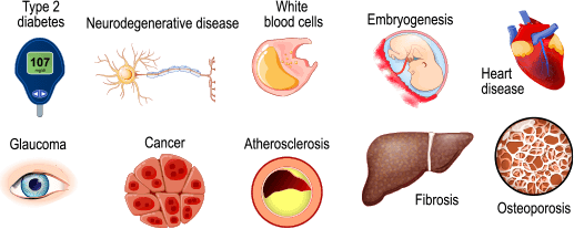 InfoGraph: Symptoms